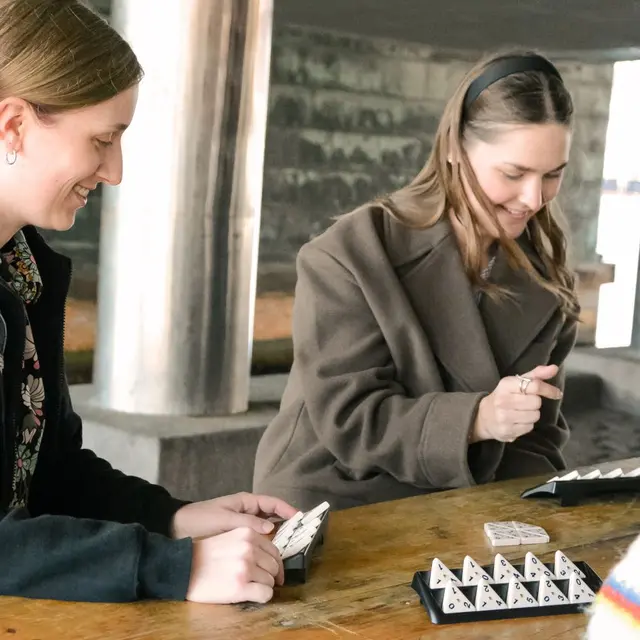 Triominos Spill fra 6 år 