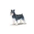 Hund schnauzer Voksen