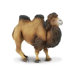 Eksotiske dyr kamel