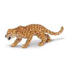 Eksotiske dyr leopard Voksen