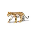 Eksotiske dyr leopard Baby