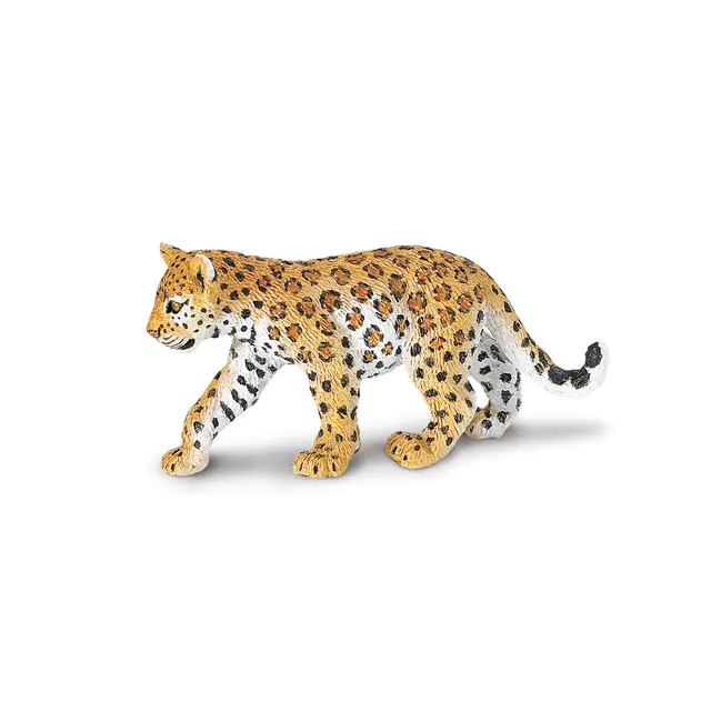 Eksotiske dyr leopard Baby 