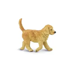Hund golden retriver Valp