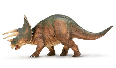 Dinosaur Triceratops 