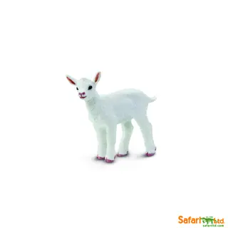 Bondegårdsdyr killing