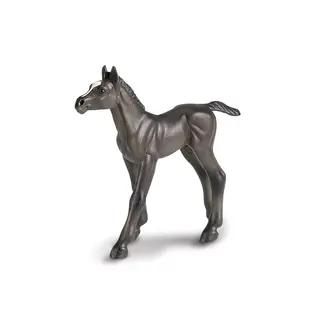 Hest Palomino Føll Hvit