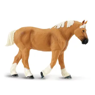 Hest Clydesdale Stallion