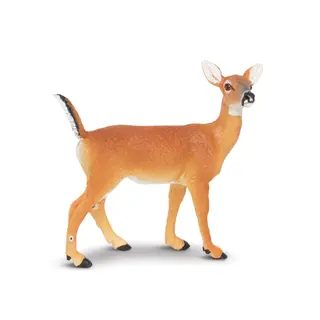 Nordiske dyr rådyr Hunn