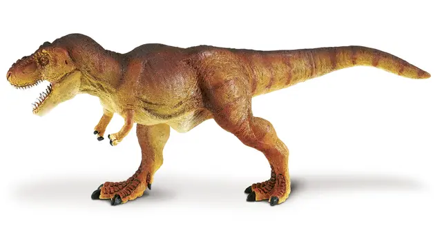 Dinosaur Tyrannosaurus rex 