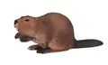 Nordiske dyr bever