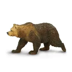 Nordiske dyr bjørn