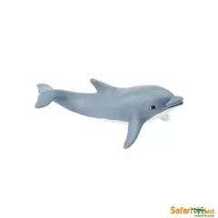 Havdyr delfin baby