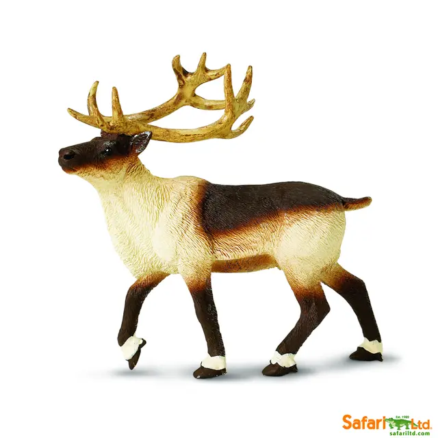 Nordiske dyr reinsdyr 