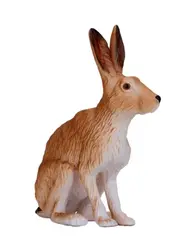 Nordiske dyr hare