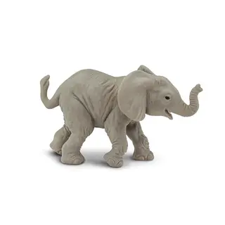 Eksotiske dyr elefant Baby