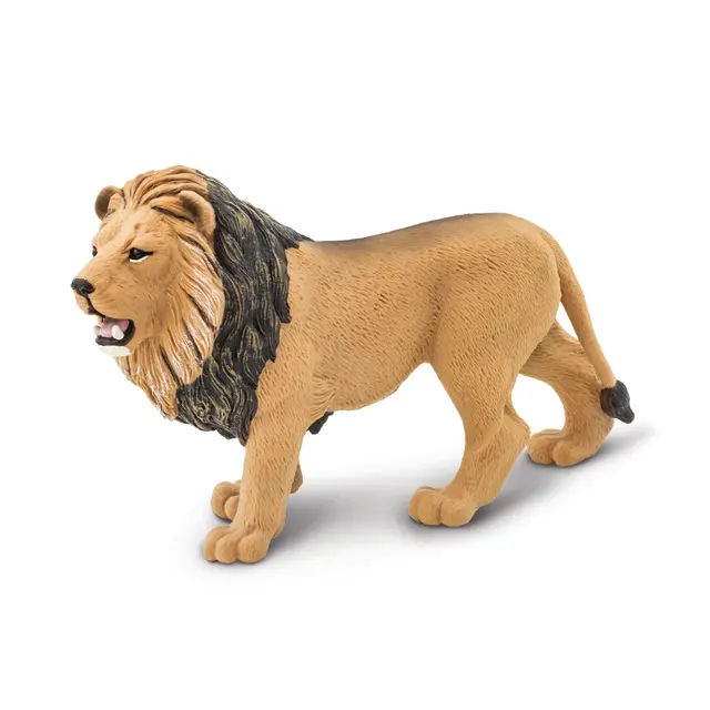 Eksotiske dyr løve Voksen 