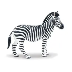 Eksotiske dyr zebra Voksen