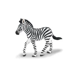 Eksotiske dyr zebra Baby