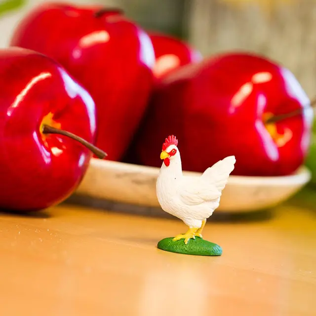 Bondegårdsdyr høne hvit 