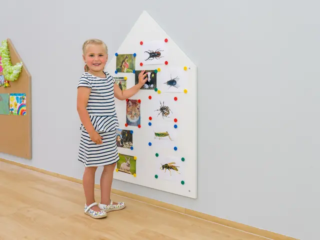 Educasa magnetisk tavlehus B78 x D2 x H117 cm 