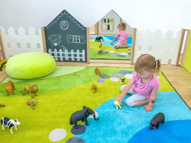 Educasa lekepark B288 x D260 cm, 31 deler 