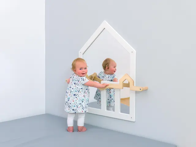 Educasa speilhus med barre B76 x D2 x H98 cm 