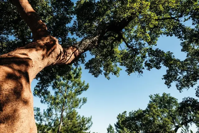 Helstøpt fallunderlag kork 135 mm Fallhøyde 280 cm 