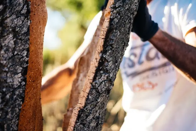 Helstøpt fallunderlag kork 135 mm Fallhøyde 280 cm 