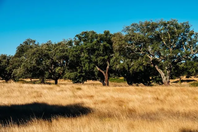 Helstøpt fallunderlag kork 135 mm Fallhøyde 280 cm 