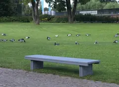 Boulevard Benk gr&#229; L230 x B49 x H40 cm