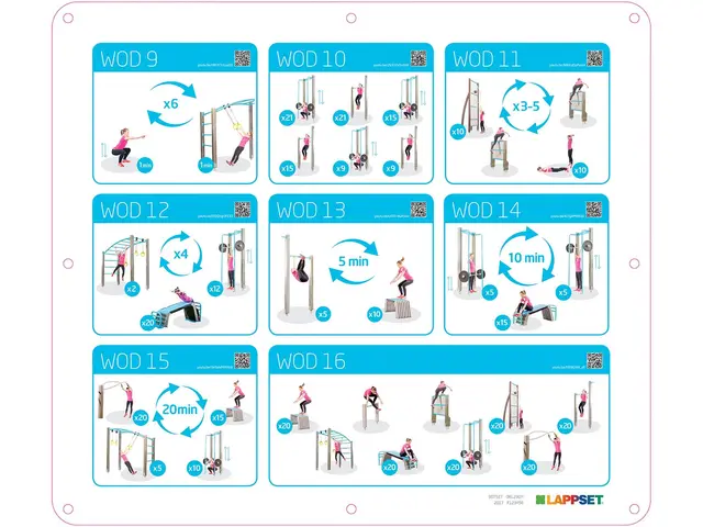 Fitness Park M L2100 x B1390 x H412 cm 