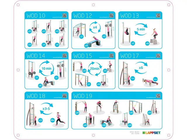 Fitness Park L L2200 x B1570 x H412 cm 