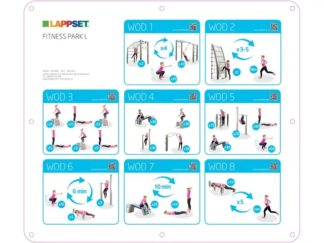 Fitness Park L - uten fri vekter L2200 x B1570 x H412 cm 