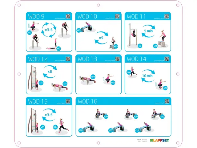 Fitness Park L - uten fri vekter L2200 x B1570 x H412 cm 