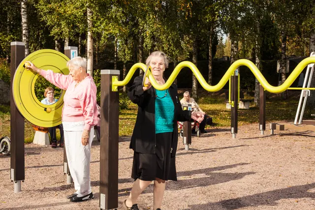 Senior sport snake bar mørk brun/lime L235 x B16 x H131 cm 