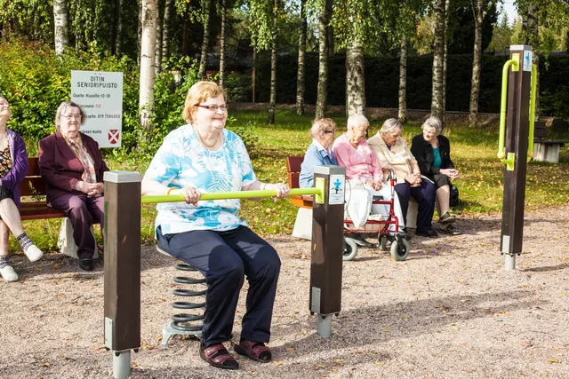 Senior sport hip spring mørk brun/lime L130 x B61 x H86 cm 