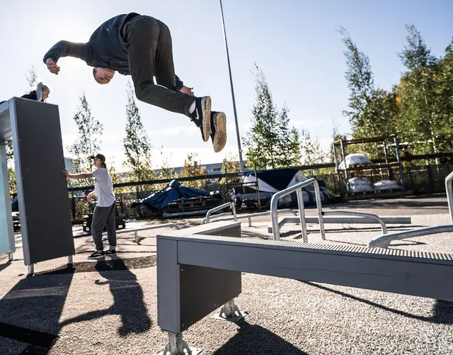 Dash Parkour vault M L154 x B75 x H65 cm 