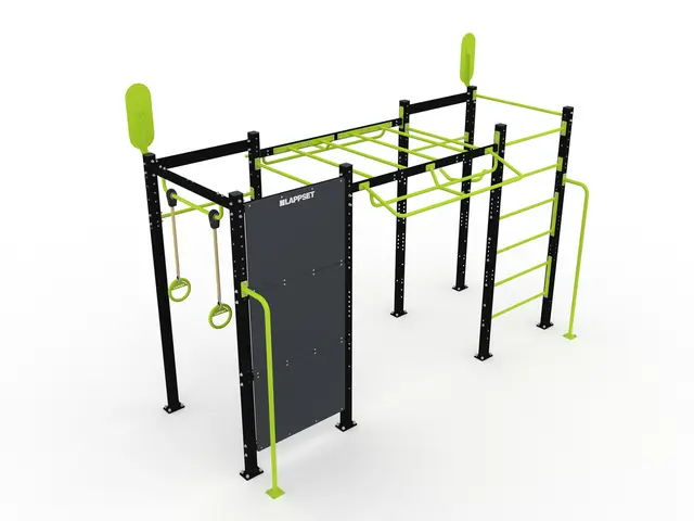 SISU fitness frame M L530 x B270 x H334 cm 