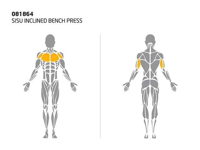 SISU inclined bench press L300 x B117 x H150 cm 