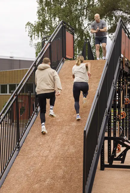 Fitness stairs I-model Ember 