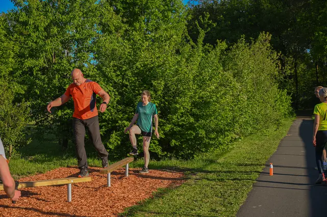 Clover balansebom L224 x B15 x H37 cm 