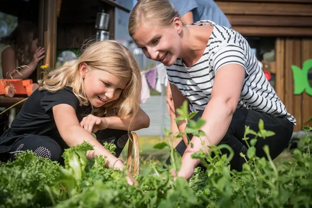 Flora plantekasse brun L89 x B89 x H32 cm 