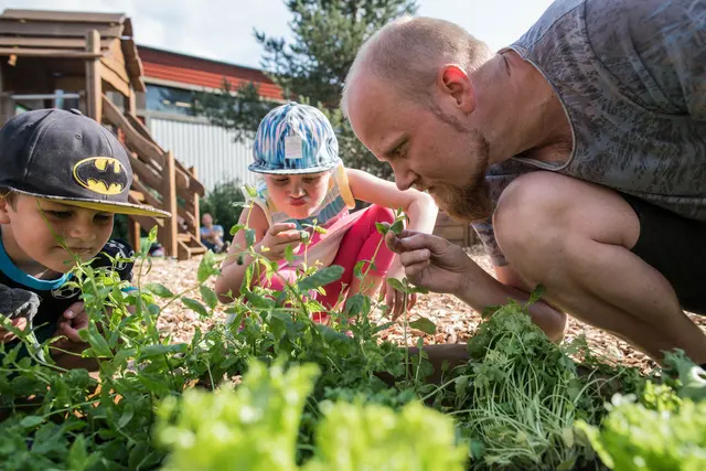 Flora plantekasse brun L89 x B89 x H32 cm 