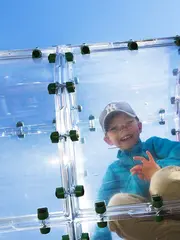 Halo Cubic L1410 x B650 x H537 cm