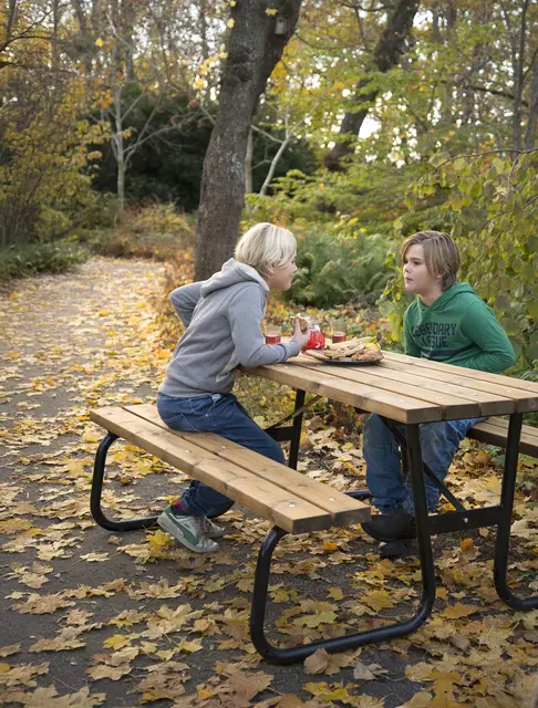 Hansa Piknikbord L170 x B140 x H72 cm 