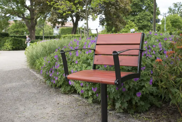 NIFO stol med rygg og armlener L66 x B61 x H82 cm 