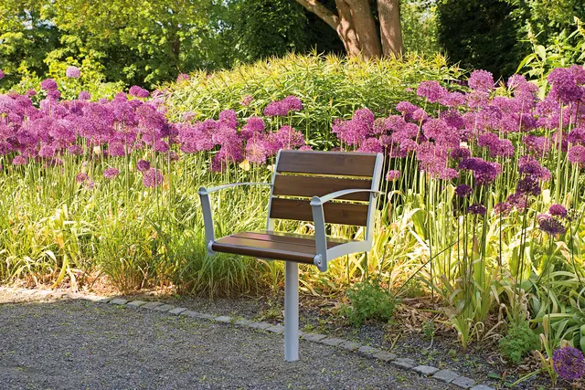 NIFO stol med rygg og armlener L66 x B61 x H82 cm 