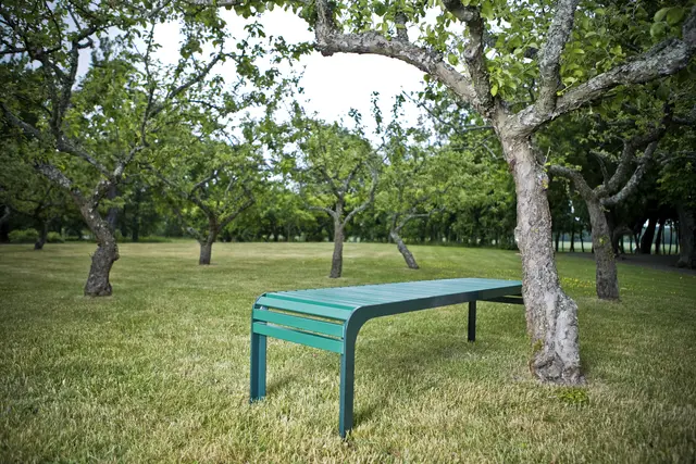 Nonstop Watching benk L180 x B50 x H45 cm 