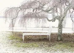 Nonstop Reading divan L192 x B65 x H95 cm