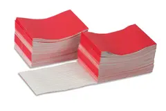 Writing Booklets: Red - Large (100)